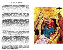 Load image into Gallery viewer, Windows into Heaven For Young Eyes Flashcards Saints Digital Download Set 2